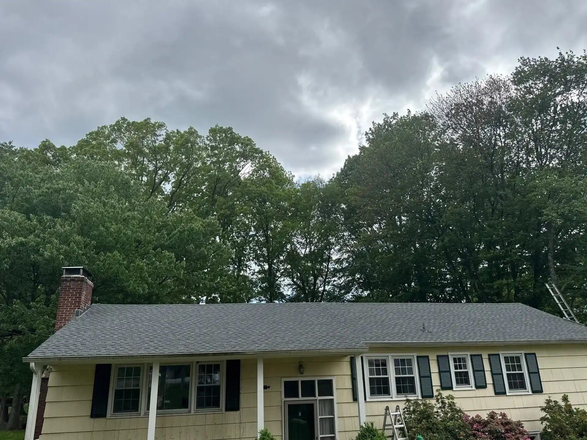 Preparing Your Property for a Professional Estimate